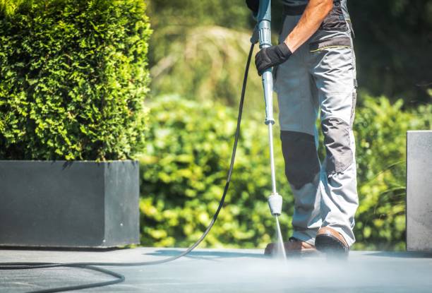 Best House Exterior Washing  in Farmingville, NY