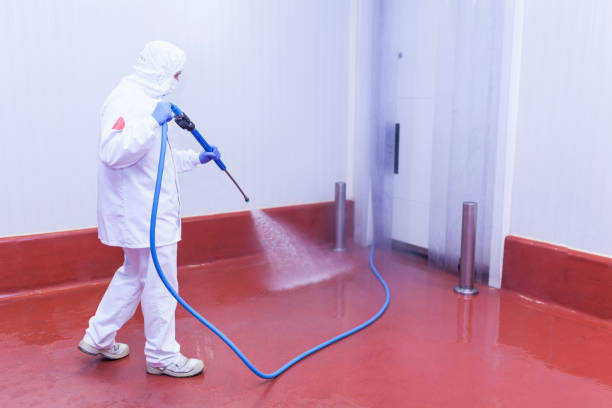 Best Sidewalk and Walkway Cleaning  in Farmingville, NY